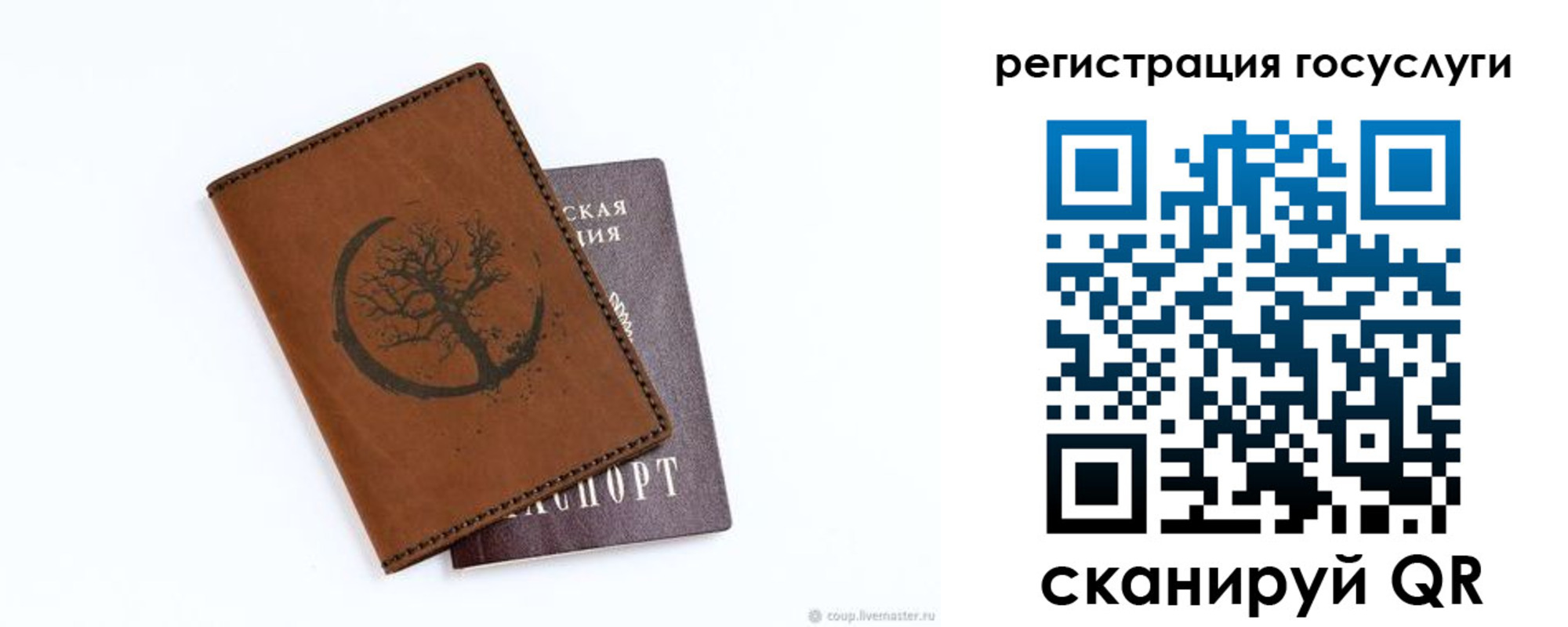 прописка для школы в Липецкая области